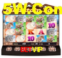 Premium Interface BETVIP